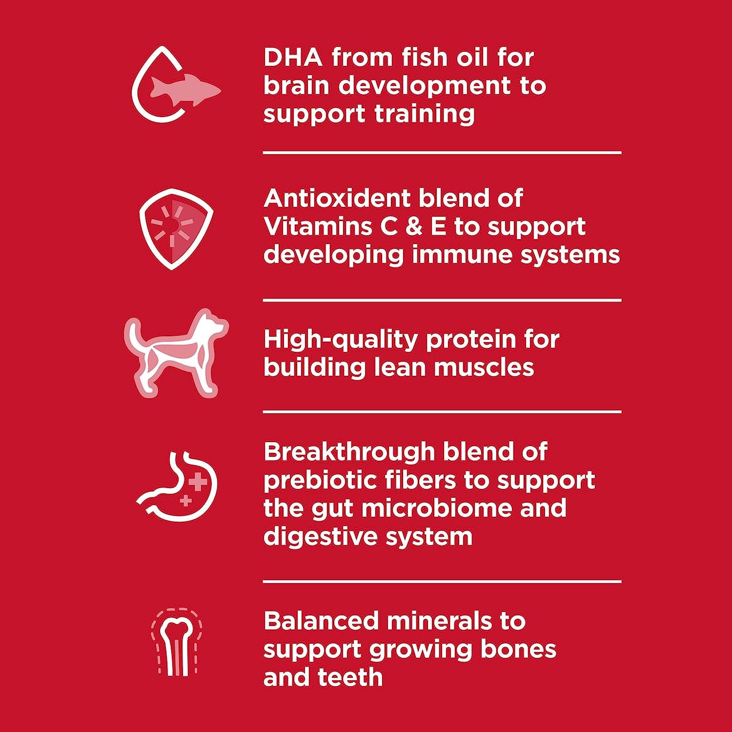 Puppy Small Bites Chicken and Brown Rice Dry Dog Food 5.67 Kg